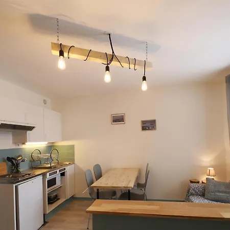 Studio Le Renne Bleu Hyper Centre Apartment Gerardmer