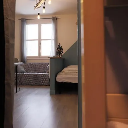 Apartment Studio Le Renne Bleu Hyper Centre Gerardmer